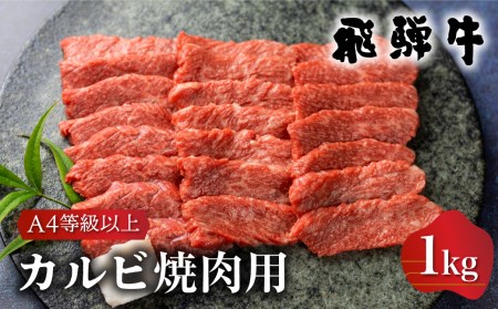 白川郷 飛騨牛 カルビ（肩バラ肉）ブリスケット 焼肉用 1kg 牛肉 国産 焼き肉 A4等級以上 A4 A5 等級 高山米穀 岐阜県 白川村 贅沢 冷凍 30000円  [S337]