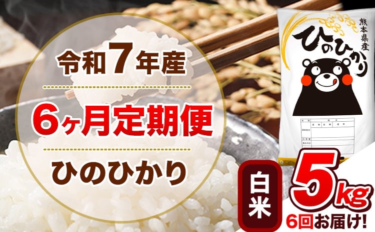 
             令和7年産 【6ヵ月定期便】 白米 ひのひかり 定期便 5kg 5kg×1袋《お申込み翌月から出荷》 熊本県産 精米 ひの 米 こめ ヒノヒカリ コメ お米
          
