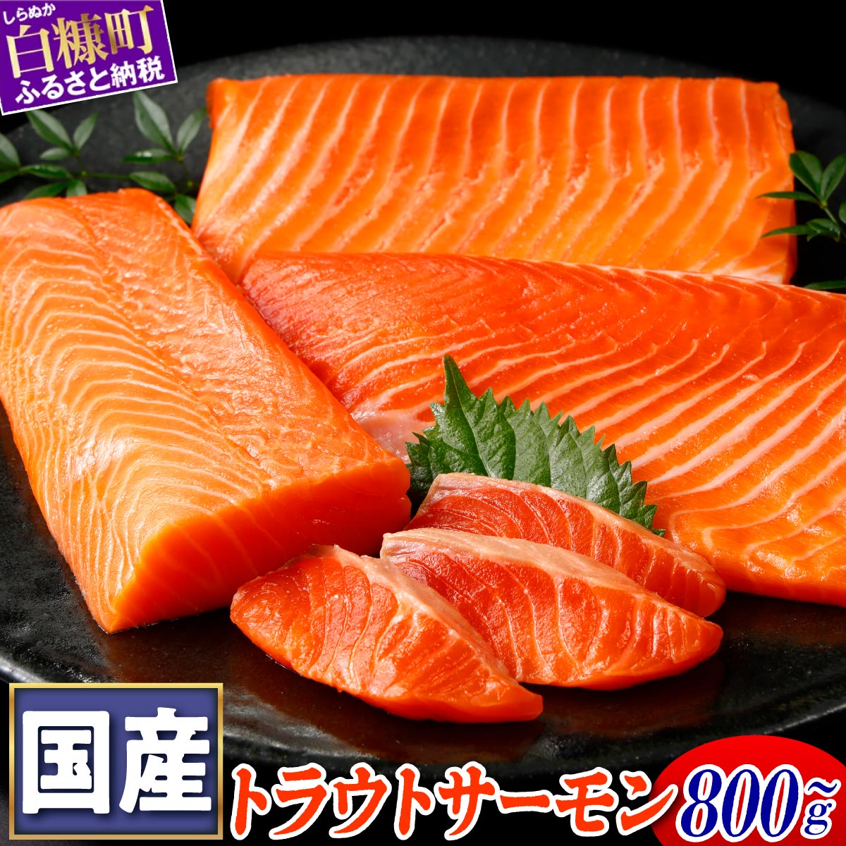 6/2～ 寄付額改定 高評価 4.93 国産ワンフローズントラウトサーモン 850g ふるさと納税 魚 サーモン 鮭 刺身 さけ サケ 人気 ふるさと 海鮮 海鮮食品 魚介類 魚介 北海道 白糠町