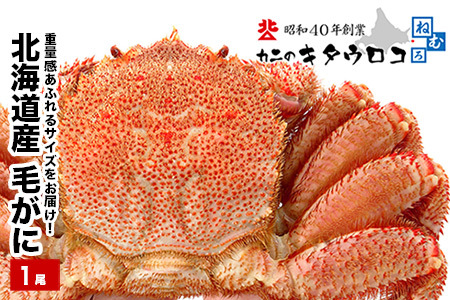 ＜12月22日決済分まで年内配送＞毛がに800g～1kg C-25025