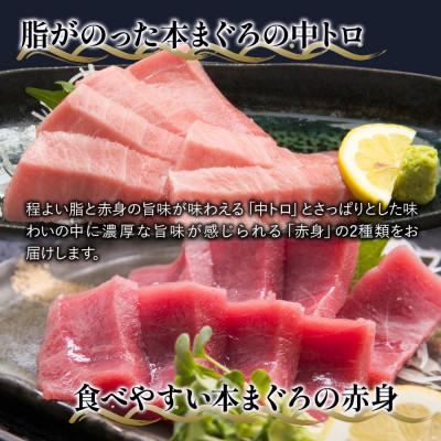 ふるさと納税 津久見市 【本まぐろ】中トロ 約500g・赤身　約600gセット |  | 02