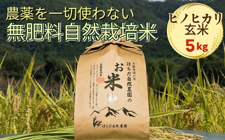 米 令和7年産 自然栽培米 ヒノヒカリ ＜農薬を一切使わない無肥料栽培＞ 玄米5kg　《京都丹波産 最高良食味 人気品種》