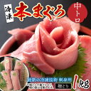 【ふるさと納税】【刺身用】本マグロ 中トロ 1kg（柵どり）【最新の冷凍技術】/ 本マグロ 国産 高級 ギフト 御祝 プレゼント お中元 グルメ 刺身 鮪 送料無料 [E-11001]