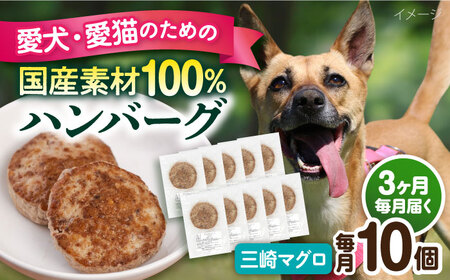 【全3回定期便】ペットフード 三崎マグロ 100%ハンバーグ 10個セット ペット 犬 猫 手作り 国産 てづくり こだわり まぐろ ドッグフード  ドッグフード ペットフード 横須賀 【ペットフードYM japan】 [AKEX003]