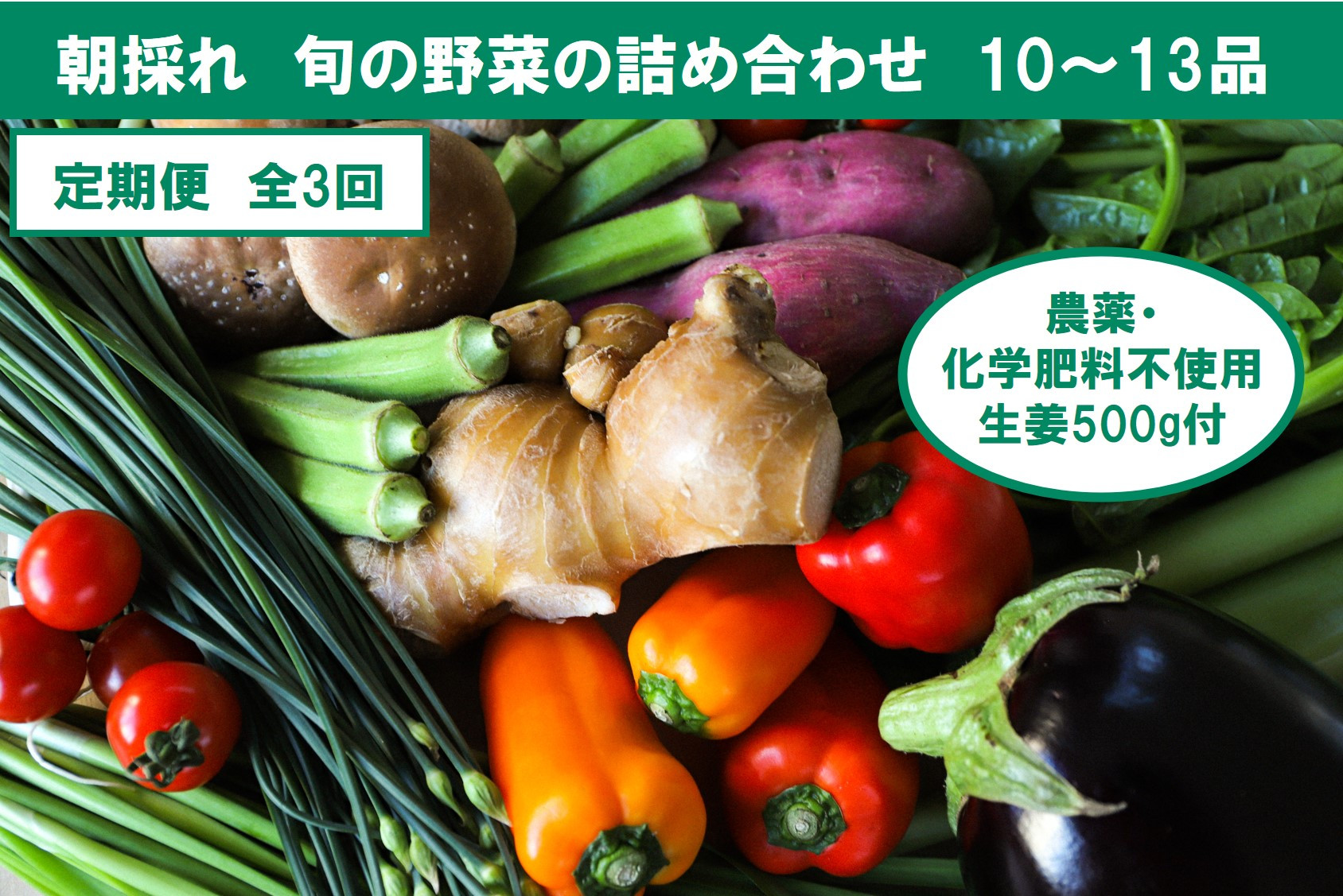 
『定期便全3回』栽培期間中に農薬不使用の生姜200gと旬の野菜詰め合わせ10～13品目 野菜 野菜セット 詰め合わせ しょうが ショウガ 旬 新鮮 朝どれ 取り寄せ 定期コース 3ヶ月 高知県産
