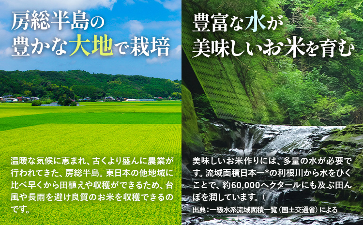 【3ヶ月定期便】令和6年産 米 千葉 ふるさと米 10kg《10月頃出荷開始》千葉県 勝浦市 米 白米 精米 国産 お米 おこめ お弁当 おにぎり こしひかり