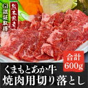 【ふるさと納税】GI認証 くまもとあか牛 焼肉用 切り落とし 計600g (300g×2P) 熊本 やきにく 焼き肉 贅沢 赤牛 あか牛 褐牛 あかうし 褐毛和種 肥後 冷凍 国産 和牛 牛肉 贅沢 切り落とし 小分け 熊本県産 熊本産 山都町【くまふる山都町】[YDG003]