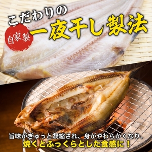 縞ホッケ開き 半身 4枚 約225g×4枚 計900g ホッケ 縞ホッケ ほっけの開き 自家製 製法 一夜干し ジューシー 肉厚 やわらかい ふっくら 脂のり 抜群 皮目 パリッ 海鮮 魚介 魚 焼き