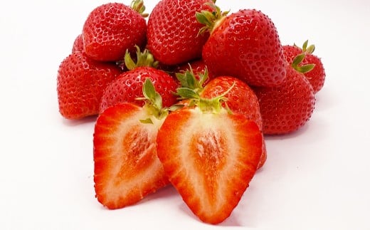 渡邉農園の採れたてあまおう 280g×2パック 合計560g いちご イチゴ フルーツ くだもの 福岡県産 【2026年1月下旬-4月下旬迄順次発送予定】