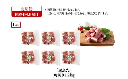 定期便 全4回 遊ぶた 堪能食べ比べセット 放牧豚 豚肉