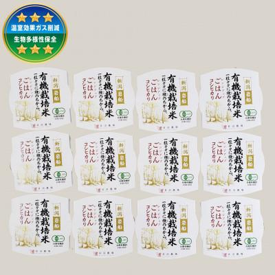 ふるさと納税 村上市 【毎月定期便】【有機栽培米】新潟県岩船産コシヒカリのパックごはん(150g×12個)　全2回