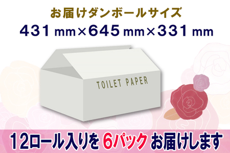 定期便 【全2回】 6ヶ月に1回お届け 2倍巻き 144ロール相当 トイレットペーパー ダブル 長巻き 12R×6P(72個) エンボス加工 大容量 日用品 エコ 防災 備蓄 消耗品 生活雑貨 生活用