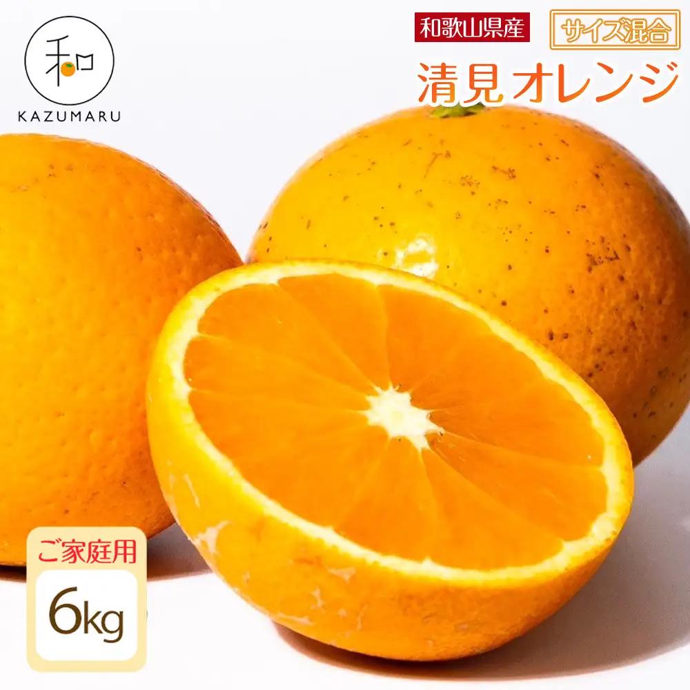 家庭用 森本農園の手選別 清見オレンジ 6kg 和歌山県産 サイズ混合 ［北海道・沖縄・離島配送不可］［RN38］［2026年2月上旬から順次発送予定］