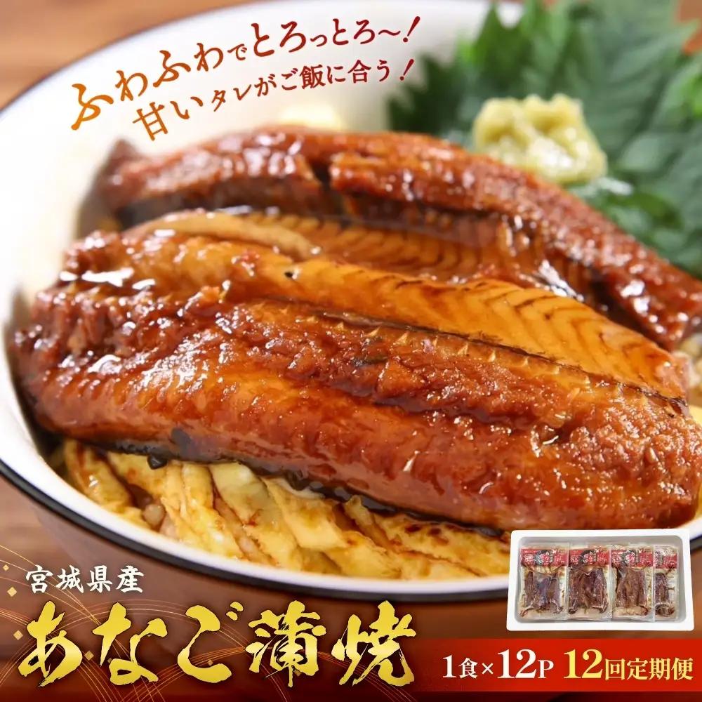 宮城県産あなご蒲焼（1食）12入 12回定期便 毎月配送 冷凍 小分け 穴子 アナゴ 蒲焼き 魚 お魚