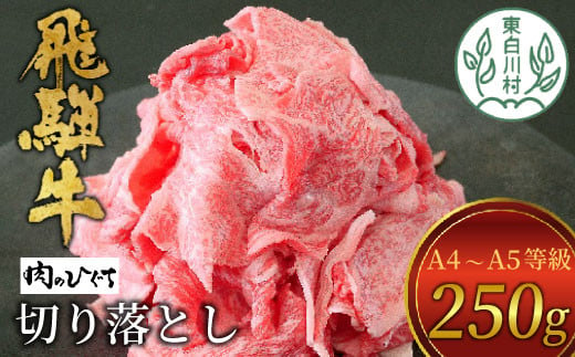 【3月発送】 飛騨牛 切り落とし 250g A5 A4 国産 牛 冷凍 お試し 和牛 牛肉 切落し 切り落し 訳あり 牛丼 すき焼き しゃぶしゃぶ 東白川村 岐阜 飛騨 贅沢 霜降り ロース バラ もも ウデ 肉のひぐち 5000円 五千円