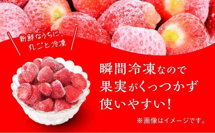 福岡県産【博多冷凍あまおう】約500g×4袋 合計約2kg《築上町》【株式会社H&Futures】 [ABDG007]