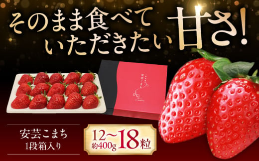 【12月～3月20日順次発送】水素水で育ったいちご「安芸こまち」1段箱入り（約400g）（12粒〜18粒入） 低農薬 苺 イチゴ 高級 フルーツ 果物 ベリー ギフト 贈答 三次市/田中電機工業 [APBI002]