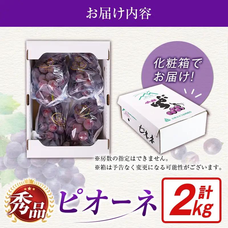 ピオーネ 【令和9年発送 先行予約】小林市産 ピオーネ 2kg ぶどう