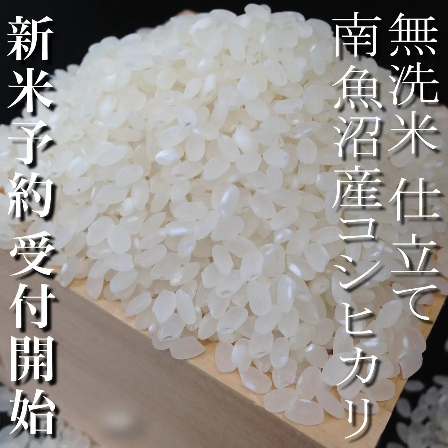 【令和8年　新米予約】定期便12ヶ月：無洗米２Kg 南魚沼産コシヒカリ【2026年10月上旬から1ヶ月以内に順次発送予定】｜コシヒカリ