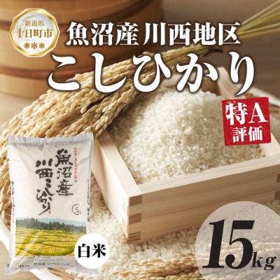 ふるさと納税 十日町市 【令和7年産 新米予約】 魚沼産 川西 こしひかり 15kg 精米 新潟県産 お米 産地直送 十日町