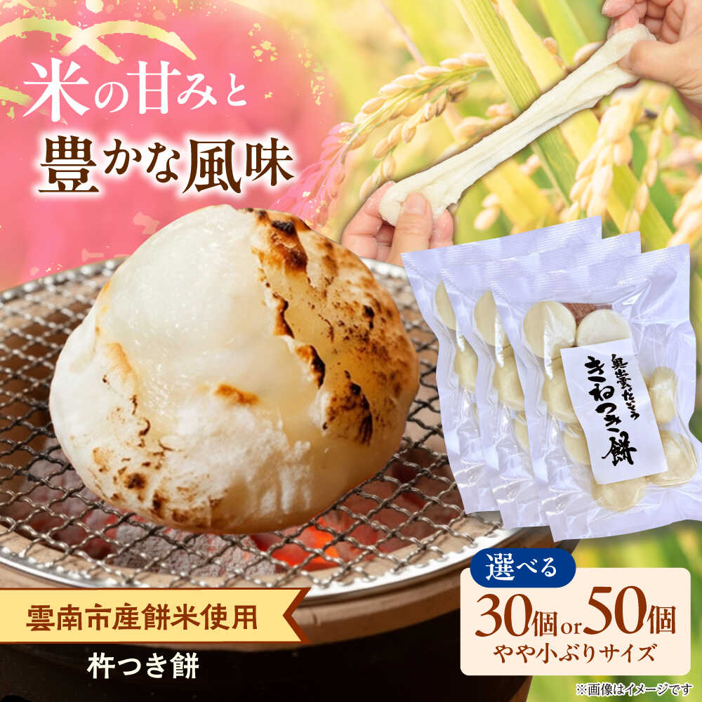 【ふるさと納税】【選べる容量】杵つき餅（丸餅） | 餅 もち 切もち 切り餅 丸餅 お正月 雲南市産 本格 杵つき 島根県雲南市/株式会社大東農産加工場[AIEG001]