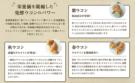 【1袋】沖縄県産琉球発酵ウコン 1袋(1粒重量250mg 3粒×31包) 沖縄県産の3種類のウコン | 飲みやすい タブレット 無農薬 農薬・化学肥料 不使用 自然由来 | 株式会社 しまのや | サ