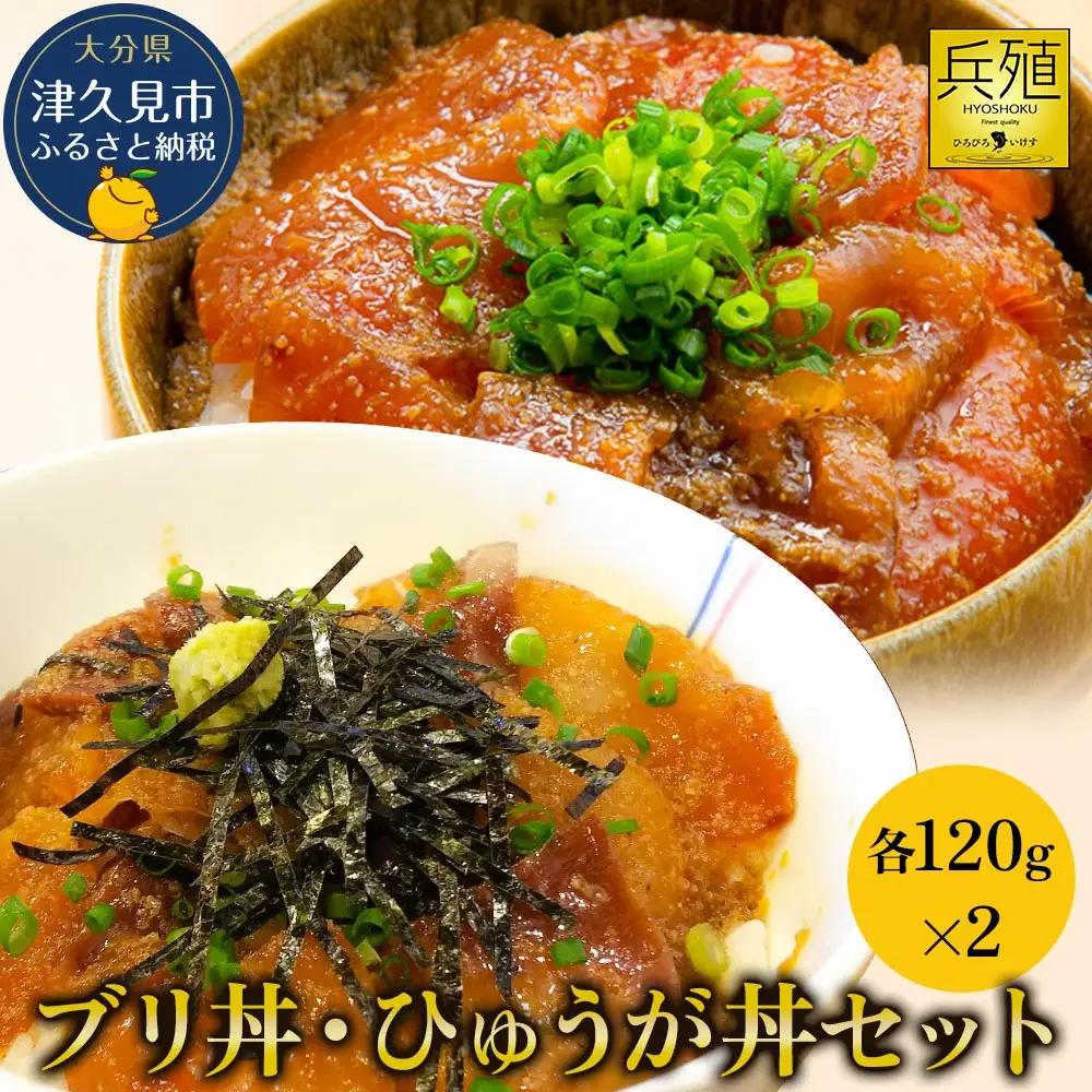 海鮮丼 ブリ マグロ 海鮮丼セット