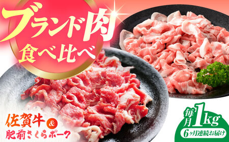 【全6回定期便】佐賀の肉 普段使いセット（佐賀牛・肥前さくらポーク） 【JAさが 杵島支所】牛肉 豚肉 しゃぶしゃぶ 肉[HAM080]