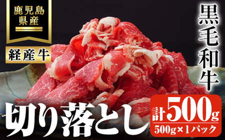 鹿児島県産黒毛和牛(経産牛) おためし切り落とし 計500g(500g×1パック) 黒毛和牛 牛肉 切り落とし【ビーフ倉薗】A523