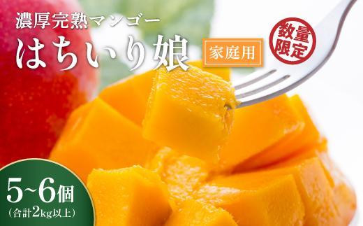 【数量限定/先行予約】 マンゴー「はちいり（鉢入り）娘」（ご家庭用2kg箱入り）マンゴー 先行予約 家庭用 ギフト 果物 フルーツ マンゴー まんごー Mango mango