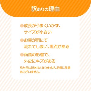 S086-007A_訳あり 不知火 約 10kg 数量限定〈先行予約〉