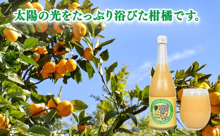 みかんジュース (720ml ×5本) │ さっぱり みかんジュース ヨシファーム H014-067003