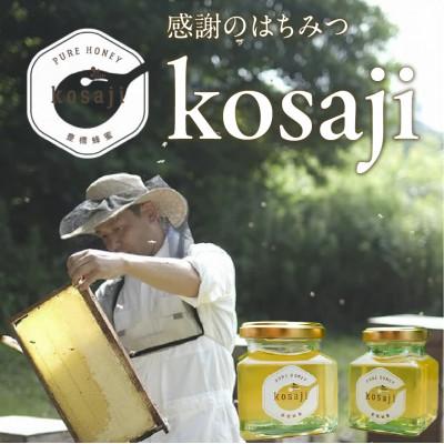 ふるさと納税 豊橋市 【kosaji】春はちみつ150g+100g 瓶入り ギフトセット