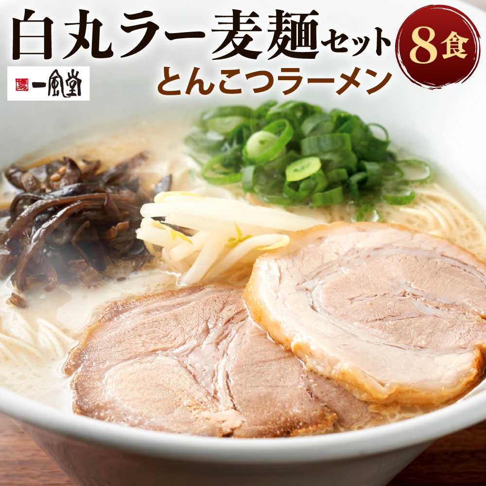 【ふるさと納税】一風堂 白丸 ラー麦麺セット 8食分 スープ付き ラーメン 拉麺 ラー麦 細麺 豚骨ラーメン とんこつラーメン ストレート麺 乾麺 とんこつ 麺 福岡県北九州市