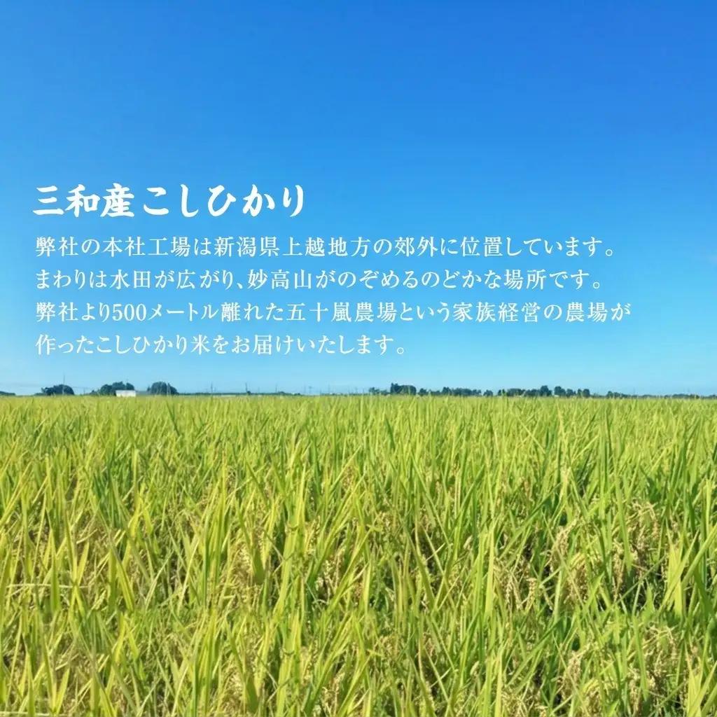 あおき味噌 朝ごはんセットA あおき味噌 こしひかり5kg