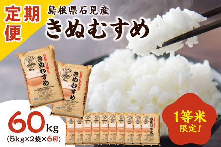 【令和6年産】石見産きぬむすめ 60kg 6ヶ月（10kg×6回コース）【定期便】 お取り寄せ 特産 米 お米 精米 白米 ごはん ご飯 コメ 【238】