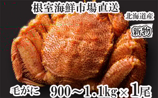 F-11029【年内配送可○】 ボイル毛がに900g～1.1kg×1尾