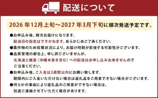 あまおう＆ふくや味の明太子100g あまおう いちご 苺 イチゴ 果物 くだもの フルーツ 明太子 めんたいこ セット 【2026年12月上旬～2027年3月下旬発送予定】