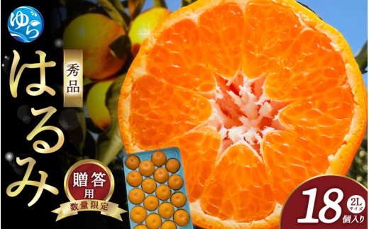 
                  はるみ 和歌山 みかん 秀品 2Lサイズ 18個入り 贈答用 / はるみ 柑橘 贈り物 フルーツ 果物 ※2027年1月中旬頃～3月上旬頃に順次発送予定【ksmt013-r-18】
                