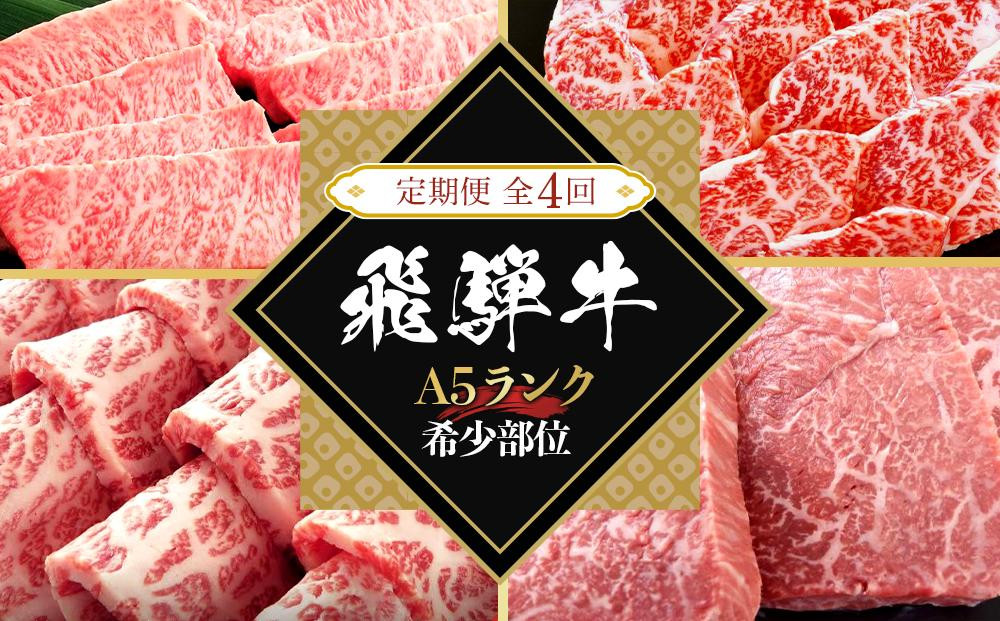 
【全４回定期便】飛騨牛Ａ5 「希少部位」全4回 1.2kg（三角バラ カイノミ イチボ ランプ）｜国産 肉 牛肉 焼肉 和牛 黒毛和牛 グルメ おすすめ【飛騨牛 和牛ブランド 飛騨牛 黒毛和牛 飛騨牛 岐阜 大野町 飛騨牛】
