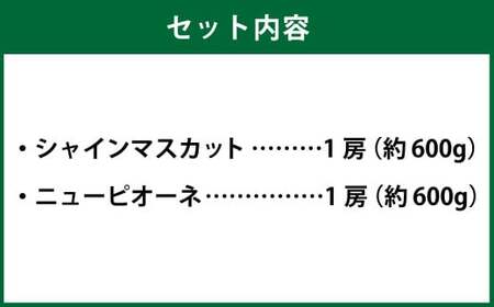 岡山県産 シャインマスカット「晴王」とニューピオーネ 3Lサイズ 計約1.2kg 【2026年8月下旬～9月下旬迄発送予定】 くだもの フルーツ 詰め合わせ ぶどう