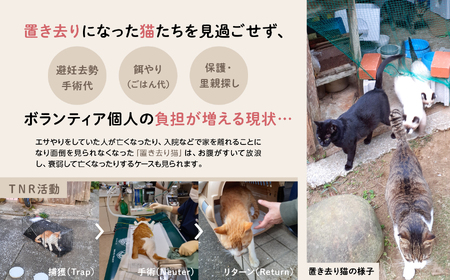 《返礼品なし》 猫愛護活動支援 8,000円 猫ちゃん 猫 ねこ 動物 保護 愛護 保護活動 応援 支援 寄付 南種子町 鹿児島 かごしま