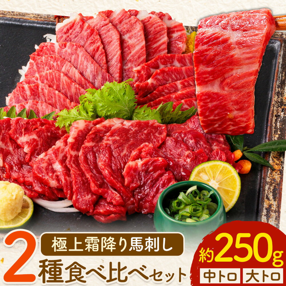 【ふるさと納税】 馬刺し 極上 霜降り 2種 食べ比べ セット 250g 株式会社利他フーズ《30日以内に出荷予定(土日祝除く)》 中トロ 大トロ 国産 冷凍 生食用 肉 馬肉 ふるさと納税馬刺し 熊本県 大津町 送料無料 馬刺 ばさし 名物