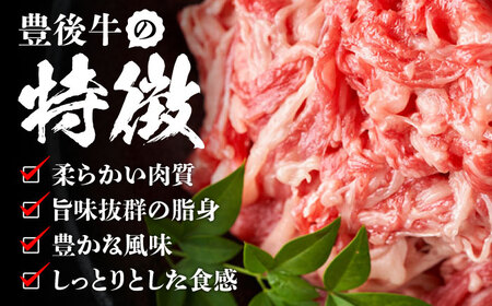 【全6回定期便】【期間限定】 小分けで便利！おおいた豊後牛 牛肉 切り落とし 1kg (500g×2)  日田市 / 株式会社MEAT PLUS　肉 牛肉 和牛[AREI045]