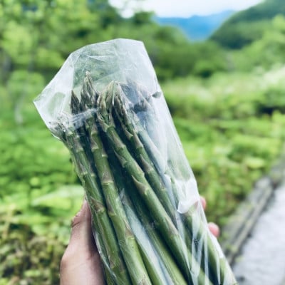 【先行予約】島牧村産露地栽培アスパラガス　1kg(M〜Lサイズ混合)【2026年5月上旬〜発送予定】【配送不可地域：離島】【1704919】