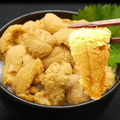 ふるさと納税 登別市 【2025年夏発送】無添加 塩水きたむらさきうに 100g×1p