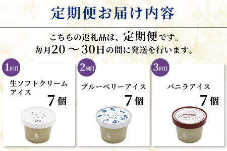 全3回〈翌月から発送開始〉3種類のアイス定期便☆ 南信州根羽村産アイス が毎月7個届く！ 合計21個 アイス アイスクリーム 定期便 生ソフトクリームアイス バニラアイス ブルーベリー 果物 ジャム 