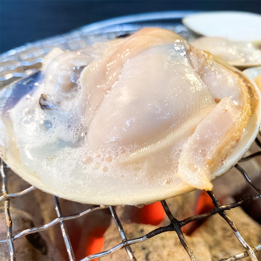 ＜岬水産＞天然「はまぐり」（中サイズ）500gx2(計1kg)