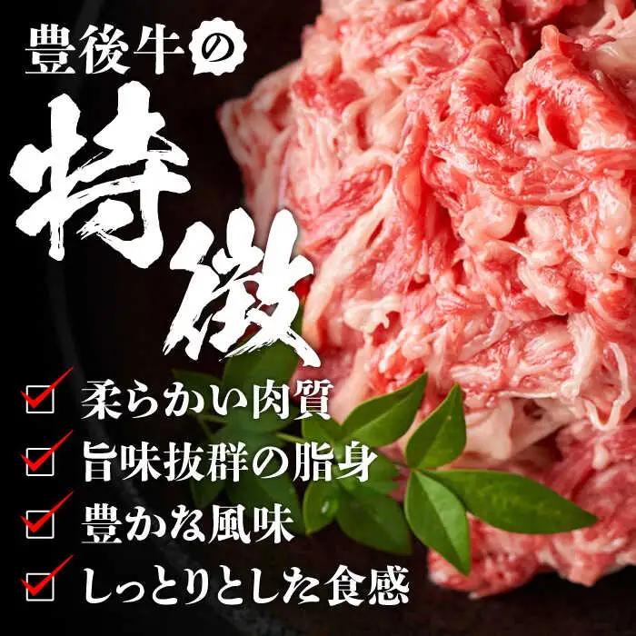 【全6回定期便】【小分けで便利！】おおいた豊後牛 牛肉 切り落とし 1kg (500g×2)  牛肉切り落とし 豊後牛 [AREI045]