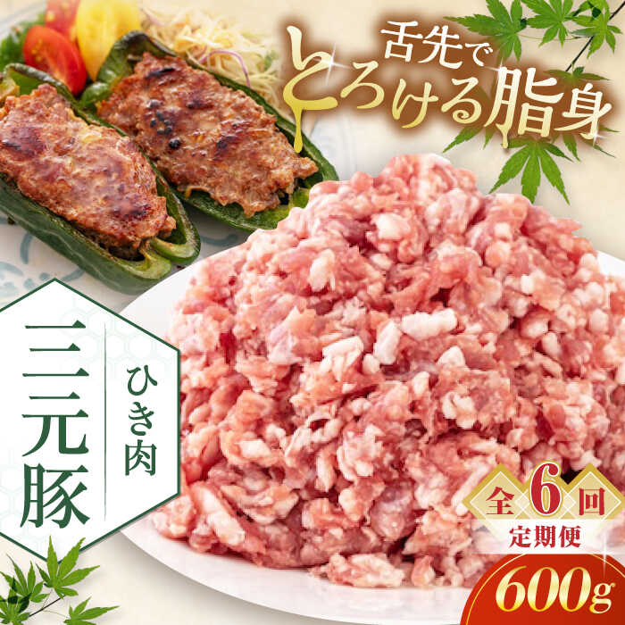 【ふるさと納税】 定期 三元豚 ひき肉600g ▼ 全6回 定期便《喜茂別町》【平田牧場】 肉 豚肉 ミンチ 豚ミンチ 餃子 つくね 冷凍配送 定期便 定期 北海道 平田牧場 おすすめ [AJAP120] 42000 42000円